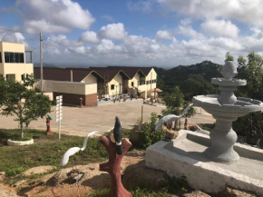 Encanto dos Pássaros